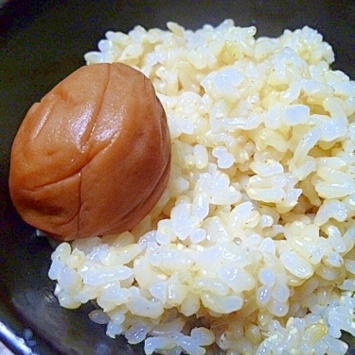 圧力鍋で炊く玄米ご飯 浸け置きなしのお急ぎ レシピ 作り方 By Wednsedayham 楽天レシピ 圧力鍋で炊く玄米ご飯 浸け置きなしのお急ぎ レシピ 作り方 By Wednsedayham 楽天レシピ